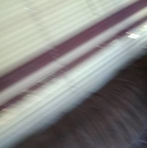 Meet your Posher, Desi